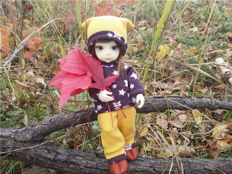 Осенний олененок — Куклы Fairyland (ФэйриЛэнд): BJD (БЖД) (фото 10)