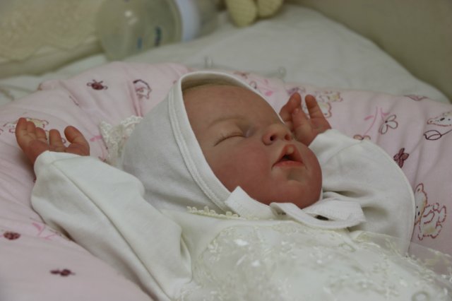 Ноашечка. Куколка реборн Виктории Вишни