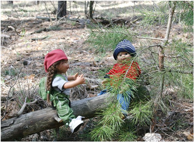 Небольшой поход Вихтелят на Ирдынские болота