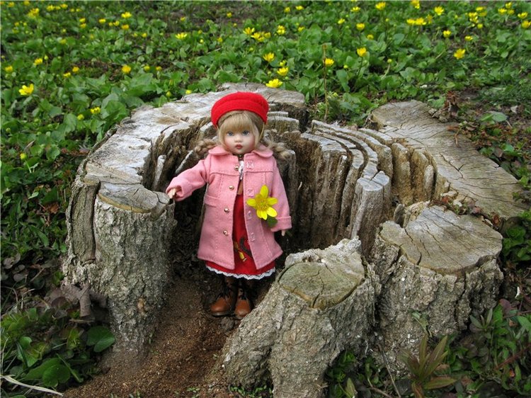 Тверская прогулка вдоль Волги - Матушки реки