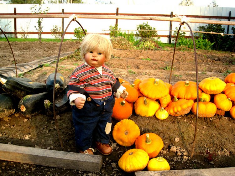 Выходные в деревне. Эдер - коллекционна кукла Susi Eimer (фото 3)
