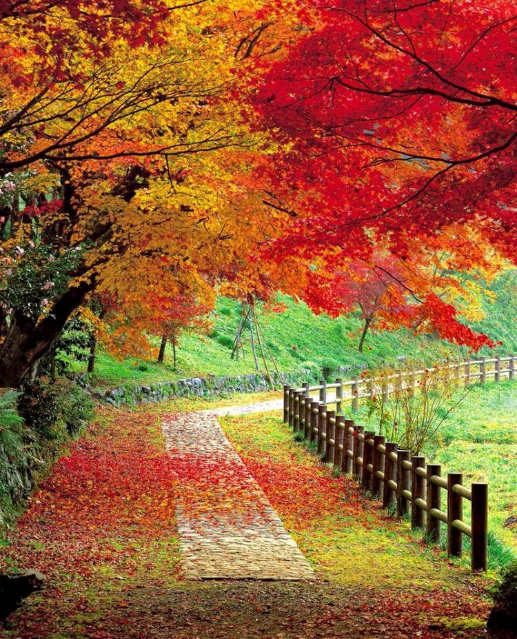 Красотка-осень — Болталка и разговоры обо всем: жизнь