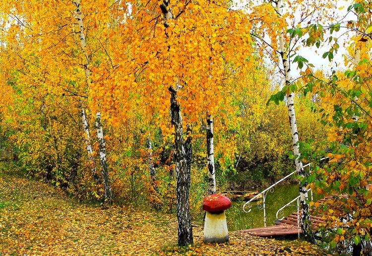 Красотка-осень — Болталка и разговоры обо всем: жизнь