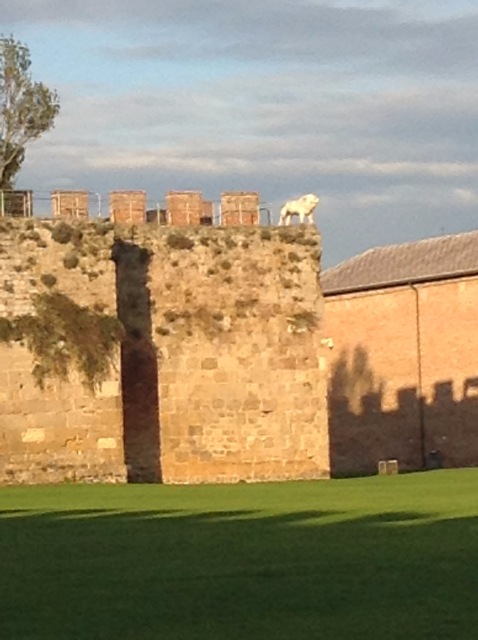 Приключения Минуш в Италии. Часть 4. Пиза. Ускользающая красота (фото 9)