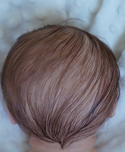 Ливия и Линдея. Куклы реборн Наталии Коноваловой