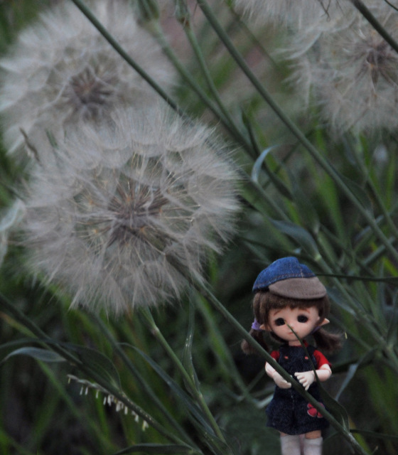 Дилькин дневник, морской... ну... почти