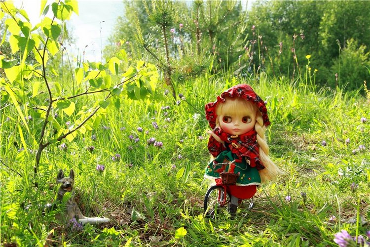 Путешествие в Сказку — Оригинальные куклы Blythe (Блайз): Takara