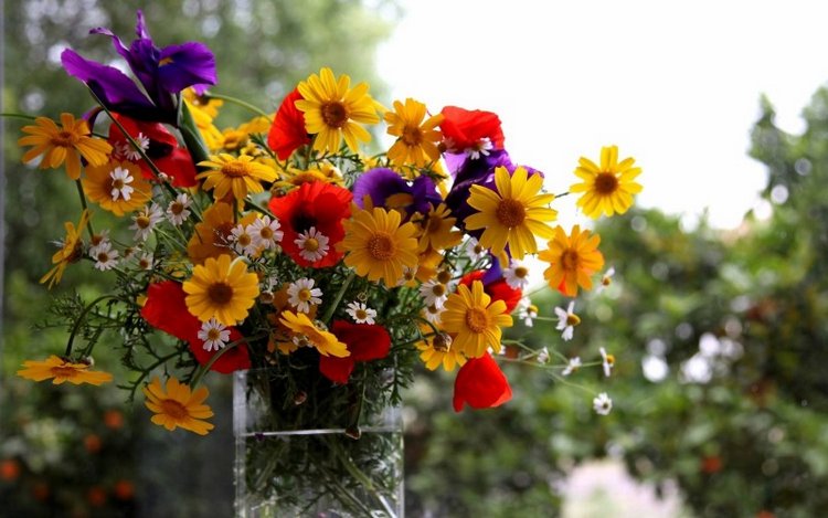 Санта-Барби. Всё идёт по плану