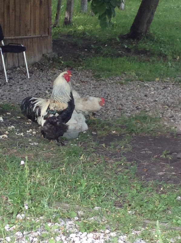 "Есть на Москве места такие..." ч.2. Тайны Коломенского оврага