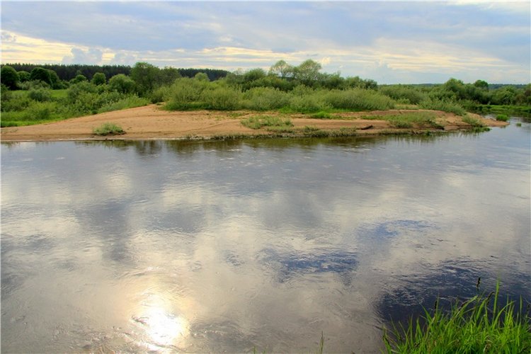 Просто Соня. Уникальные куклы от Сильвии Наттерер | Бэйбики Просто Соня. Уникальные куклы от Сильвии Наттерер