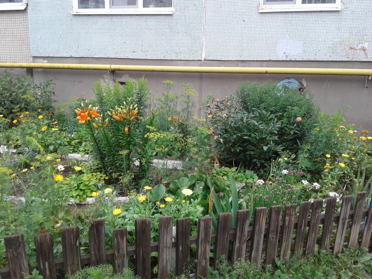 Псков: из лета в лето. Прогулки по городу и куклы