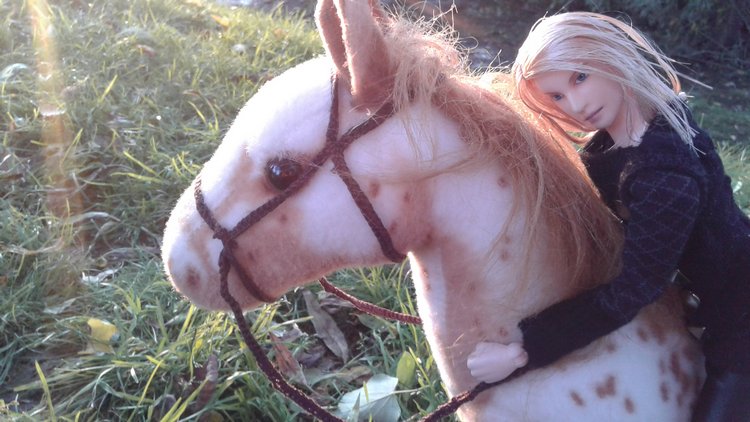 Зимнее солнце. Глава 6. Дом там, где сердце