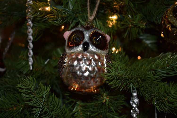 Болталка и разговоры обо всем: жизнь