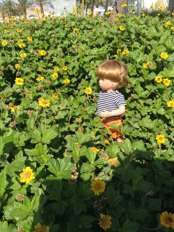 Белое солнце пустыни. Ч.2. Восточное, Соленое, Мертвое море- легенда (фото 4)