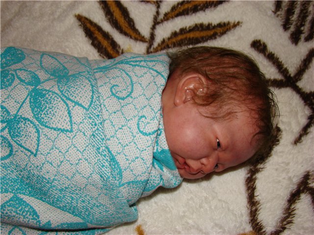 Филипок. Мой переделанный малыш беренжер