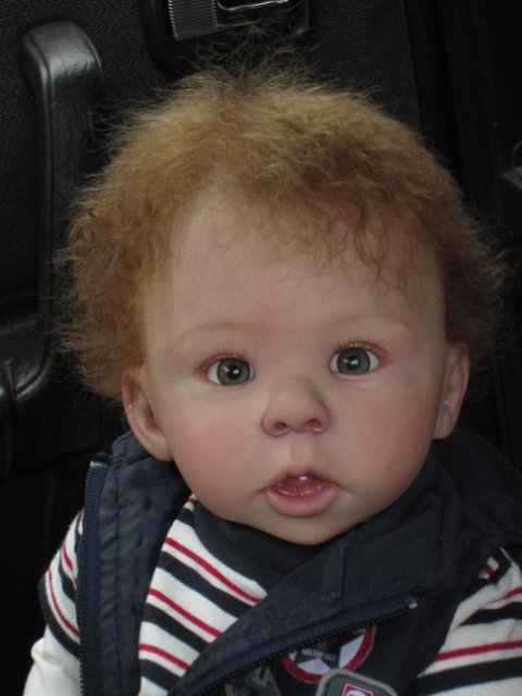 У нас появились новенькие