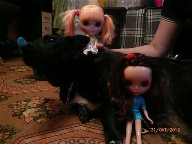 Хэллоуин. Вечеринка-ужастик