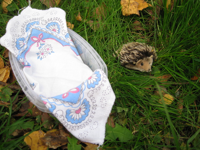 Неожиданная находка! Элис, PukiFee Ante (фото 7)