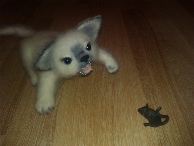 Новенький кот! Игрушка валянием из шерсти