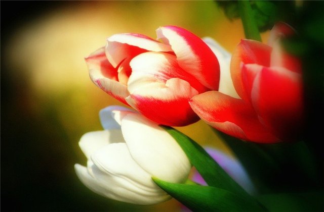 Ах как же хочется весны... Весна от Томаса Беккера (Thomas Baecker) (фото 9)