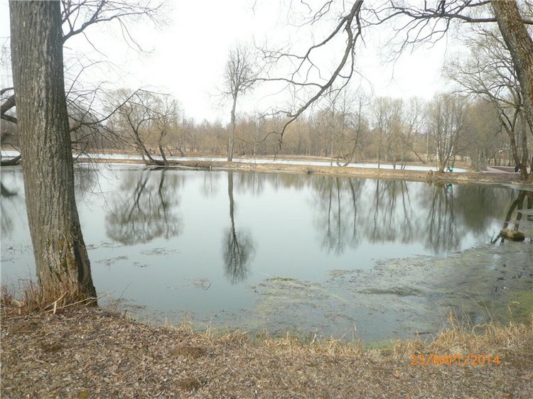 Предпраздничное настроение