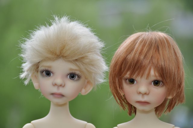 Приехали Морисы от Кайе Виггз. Презабавнейшие (фото 3)