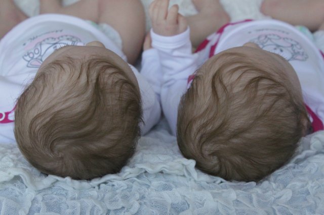 Одинаковые дочки... Куколки реборн Виктории Вишни (фото 2)
