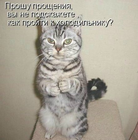 Море позитива) Для поднятия настроения (осторожно! много фото)))) | Бэйбики Море позитива) Для поднятия настроения (осторожно! много фото))))