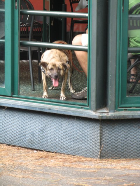 "Моя Италия". Часть 1 - Генуя