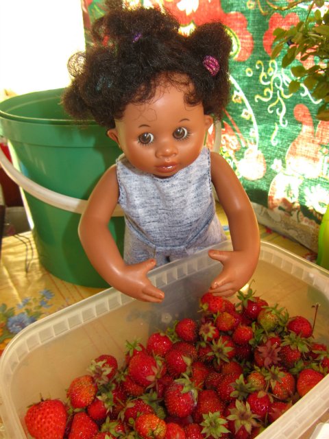 Мишельки на даче. Куклы Rosemarie Anna Muller