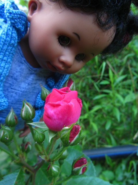 Мишельки на даче. Куклы Rosemarie Anna Muller (фото 10)