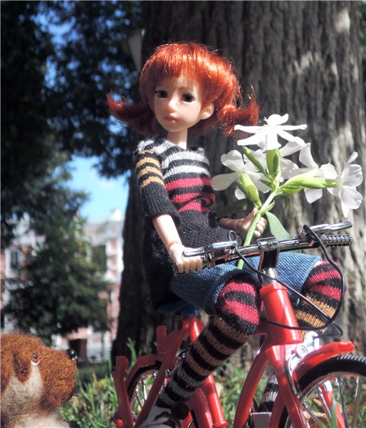 Велик, Мурзик и цветы — Куклы и тела Obitsu (Обитсу): 1/6