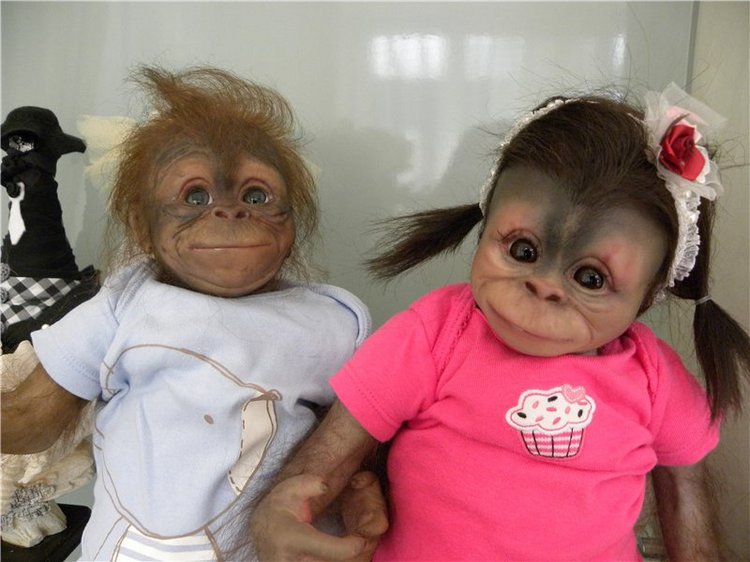 Необычное пополнение в моем доме