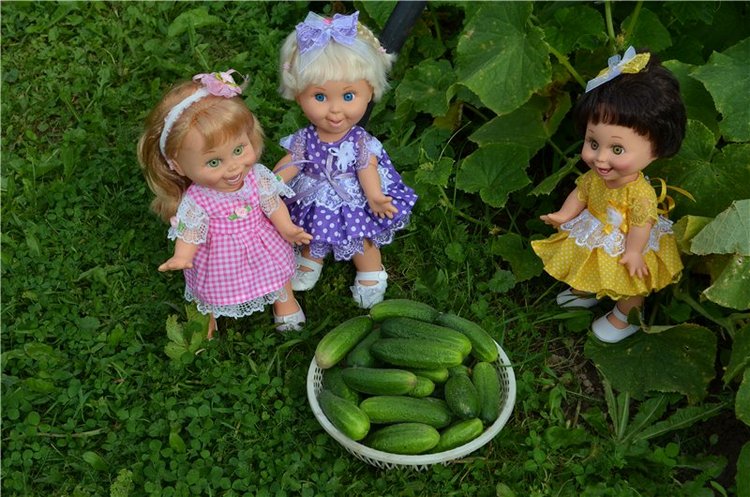 Лето прошло, а фоточки остались