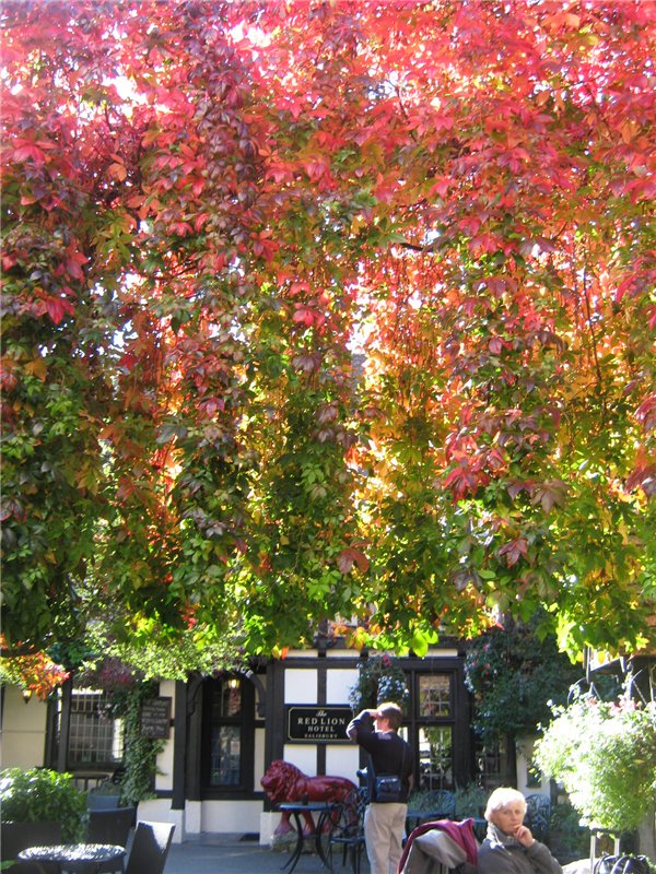 Солсбери (Salisbury) – небольшой городок на юге Англии