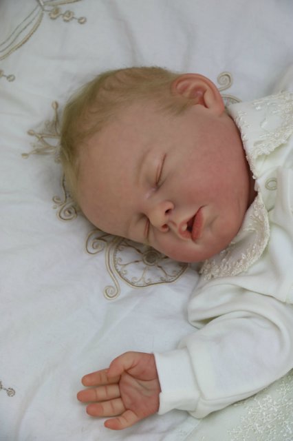 Ноашечка. Куколка реборн Виктории Вишни