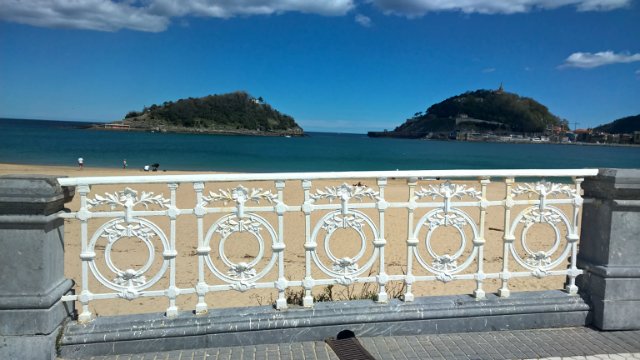 Пегий пёс, бегущий краем моря