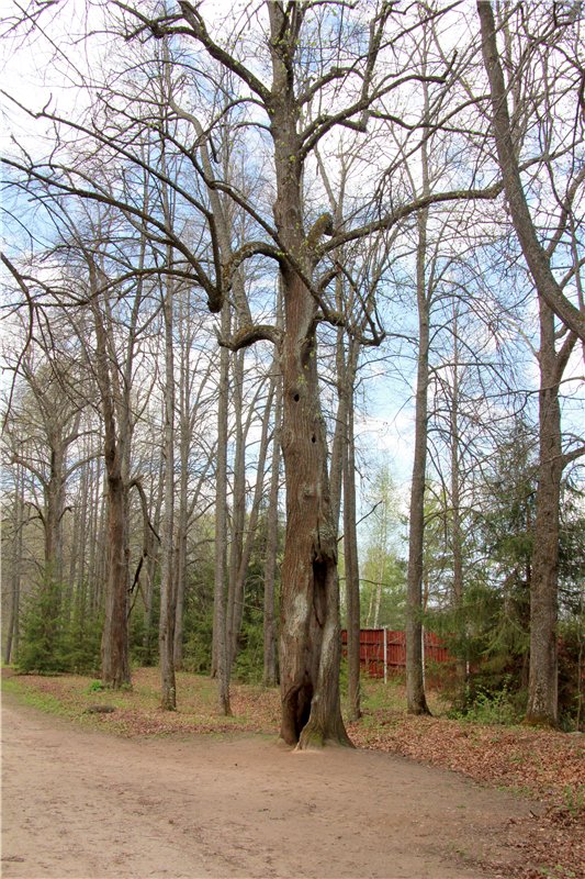 Сказочное Василёво. Реплика антикварной куклы Bébé BRU JNE от автора Branka Schärli