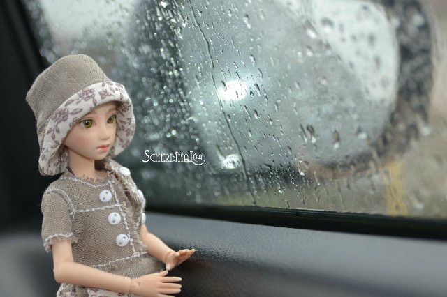 Софи и уикэнд в лесу — Аниме куклы (MJD/Винил): Imomo (фото 3)