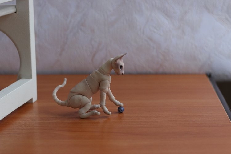 Кот играет с мячиком — Разные куклы BJD (БЖД): редкие бренды