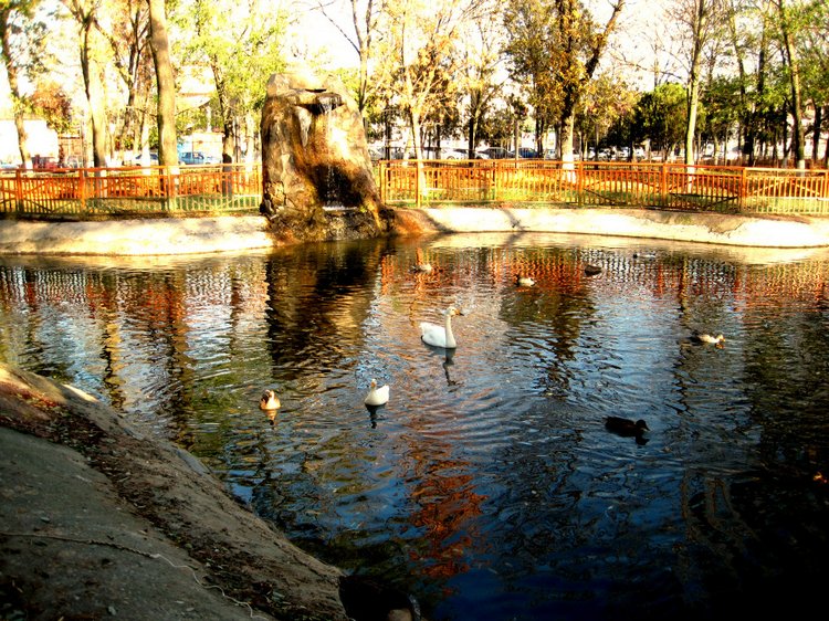 Путешествие к морю. Коллекционная кукла Фрося. Flori, Rolanda Heimer, Schildkrot