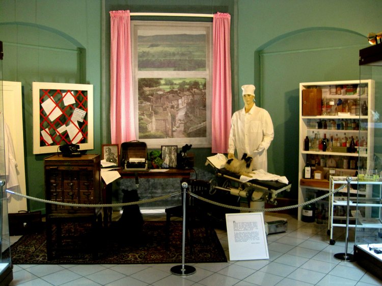 День в музее. Анжела в Государственном Дарвиновском музее