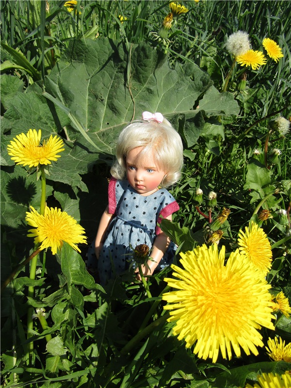 Сине-голубое настроение. Флора Helen Kish среди цветов в парке (фото 5)