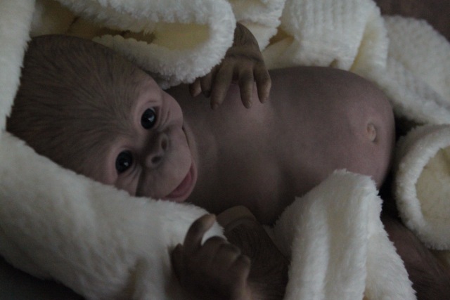 Карамелька кукла-реборн Элины Кудрявцевой (фото 5)