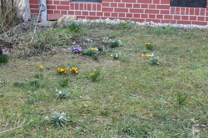 По Германии: весна в Лейпциге (фото 3)