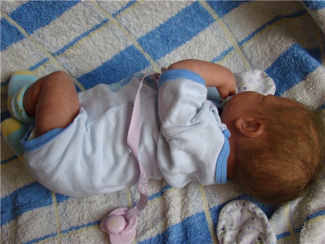 Филипок. Мой переделанный малыш беренжер