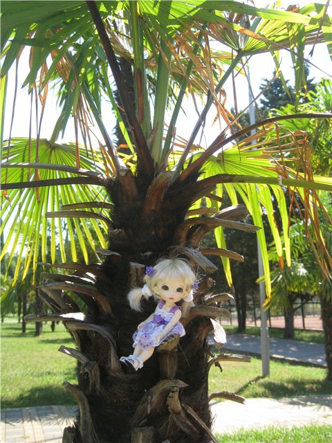 Летний отдых на море БЖДешечки Элис (фото 8)