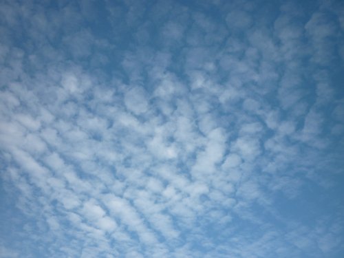 Золотая осень. Старый Оскол, Белгородская область (фото 2)