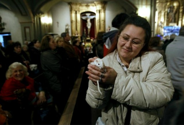 Мне вслед глядит душа кошачья... 4 октября - день памяти святого Франциска и Международный день животных