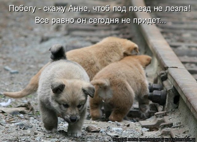 Понедельник - день тяжёлый | Бэйбики Понедельник - день тяжёлый (фото 9)